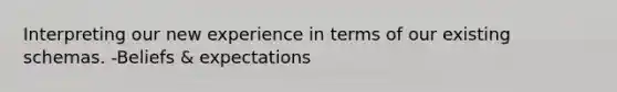 Interpreting our new experience in terms of our existing schemas. -Beliefs & expectations