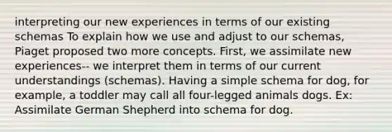 interpreting our new experiences in terms of our existing schemas To explain how we use and adjust to our schemas, Piaget proposed two more concepts. First, we assimilate new experiences-- we interpret them in terms of our current understandings (schemas). Having a simple schema for dog, for example, a toddler may call all four-legged animals dogs. Ex: Assimilate German Shepherd into schema for dog.