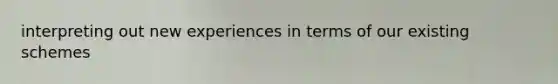 interpreting out new experiences in terms of our existing schemes