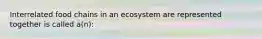 Interrelated food chains in an ecosystem are represented together is called a(n):