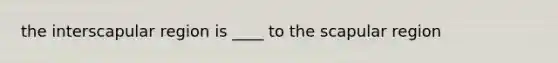 the interscapular region is ____ to the scapular region