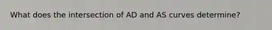 What does the intersection of AD and AS curves determine?