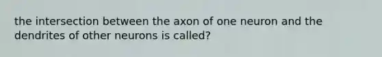 the intersection between the axon of one neuron and the dendrites of other neurons is called?