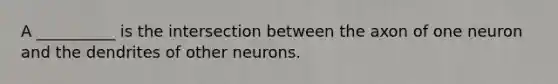 A __________ is the intersection between the axon of one neuron and the dendrites of other neurons.