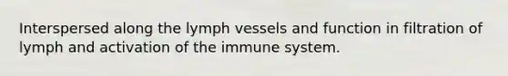 Interspersed along the lymph vessels and function in filtration of lymph and activation of the immune system.