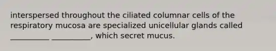 interspersed throughout the ciliated columnar cells of the respiratory mucosa are specialized unicellular glands called __________ __________, which secret mucus.