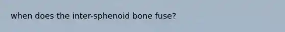 when does the inter-sphenoid bone fuse?