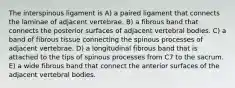 The interspinous ligament is A) a paired ligament that connects the laminae of adjacent vertebrae. B) a fibrous band that connects the posterior surfaces of adjacent vertebral bodies. C) a band of fibrous tissue connecting the spinous processes of adjacent vertebrae. D) a longitudinal fibrous band that is attached to the tips of spinous processes from C7 to the sacrum. E) a wide fibrous band that connect the anterior surfaces of the adjacent vertebral bodies.