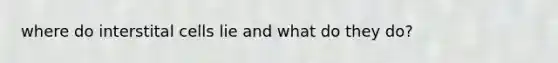 where do interstital cells lie and what do they do?