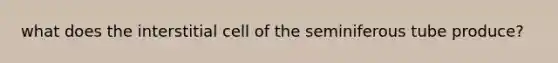 what does the interstitial cell of the seminiferous tube produce?