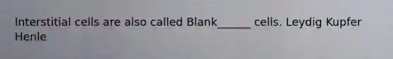 Interstitial cells are also called Blank______ cells. Leydig Kupfer Henle