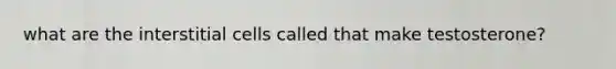 what are the interstitial cells called that make testosterone?