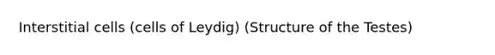 Interstitial cells (cells of Leydig) (Structure of the Testes)