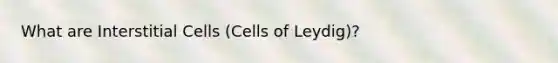 What are Interstitial Cells (Cells of Leydig)?