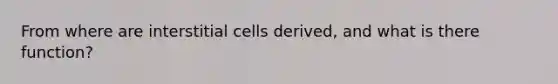 From where are interstitial cells derived, and what is there function?