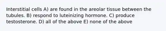 Interstitial cells A) are found in the areolar tissue between the tubules. B) respond to luteinizing hormone. C) produce testosterone. D) all of the above E) none of the above