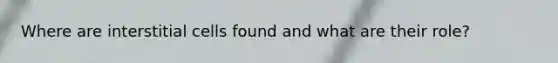 Where are interstitial cells found and what are their role?