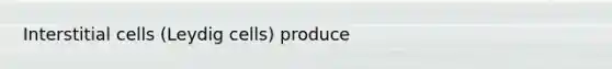 Interstitial cells (Leydig cells) produce