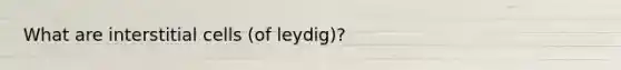 What are interstitial cells (of leydig)?