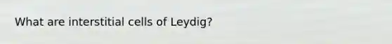 What are interstitial cells of Leydig?