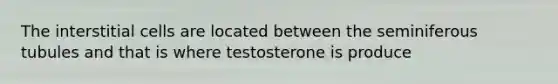 The interstitial cells are located between the seminiferous tubules and that is where testosterone is produce