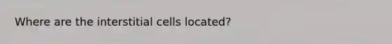 Where are the interstitial cells located?