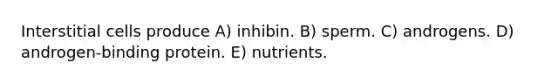 Interstitial cells produce A) inhibin. B) sperm. C) androgens. D) androgen-binding protein. E) nutrients.