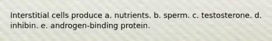 Interstitial cells produce a. nutrients. b. sperm. c. testosterone. d. inhibin. e. androgen-binding protein.