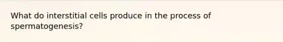 What do interstitial cells produce in the process of spermatogenesis?