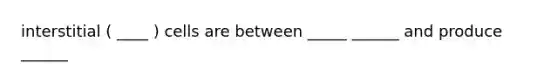 interstitial ( ____ ) cells are between _____ ______ and produce ______