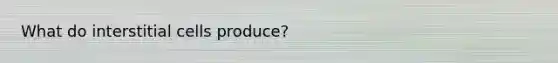 What do interstitial cells produce?