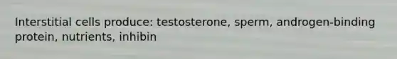 Interstitial cells produce: testosterone, sperm, androgen-binding protein, nutrients, inhibin