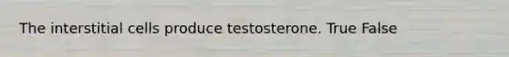 The interstitial cells produce testosterone. True False