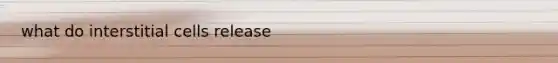 what do interstitial cells release