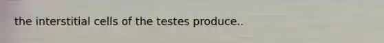 the interstitial cells of the testes produce..