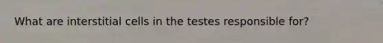 What are interstitial cells in the testes responsible for?