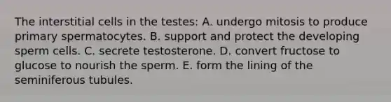 The interstitial cells in the testes: A. undergo mitosis to produce primary spermatocytes. B. support and protect the developing sperm cells. C. secrete testosterone. D. convert fructose to glucose to nourish the sperm. E. form the lining of the seminiferous tubules.