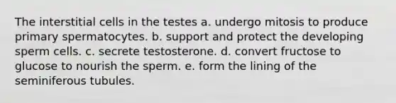 The interstitial cells in the testes a. undergo mitosis to produce primary spermatocytes. b. support and protect the developing sperm cells. c. secrete testosterone. d. convert fructose to glucose to nourish the sperm. e. form the lining of the seminiferous tubules.