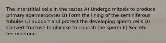 The interstitial cells in the testes A) Undergo mitosis to produce primary spermatocytes B) Form the lining of the seminiferous tubules C) Support and protect the developing sperm cells D) Convert fructose to glucose to nourish the sperm E) Secrete testosterone