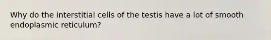 Why do the interstitial cells of the testis have a lot of smooth endoplasmic reticulum?