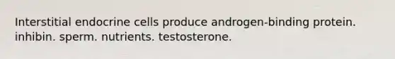 Interstitial endocrine cells produce androgen-binding protein. inhibin. sperm. nutrients. testosterone.