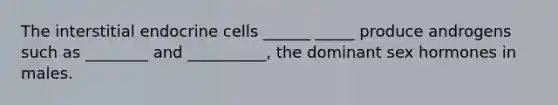 The interstitial endocrine cells ______ _____ produce androgens such as ________ and __________, the dominant sex hormones in males.