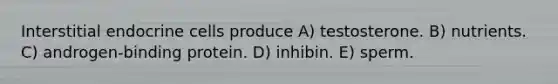 Interstitial endocrine cells produce A) testosterone. B) nutrients. C) androgen-binding protein. D) inhibin. E) sperm.