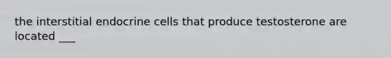 the interstitial endocrine cells that produce testosterone are located ___