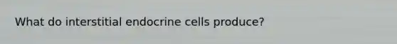 What do interstitial endocrine cells produce?