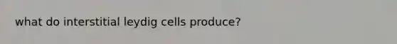 what do interstitial leydig cells produce?