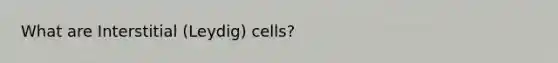 What are Interstitial (Leydig) cells?