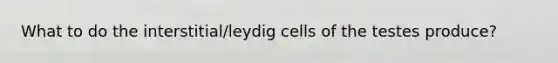 What to do the interstitial/leydig cells of the testes produce?