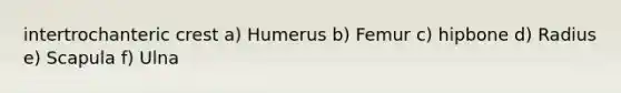 intertrochanteric crest a) Humerus b) Femur c) hipbone d) Radius e) Scapula f) Ulna