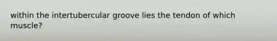 within the intertubercular groove lies the tendon of which muscle?